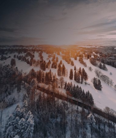 Snowy forest landscape with a sun